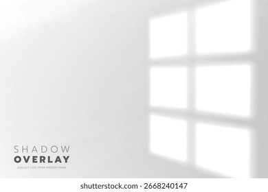 Soft sunlight streams through a window frame, casting quiet, dreamy shadows on a white wall, reminding us of slow, peaceful mornings