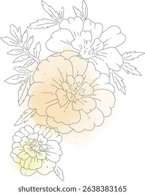A soft watercolor and line art illustration of three marigold flowers in varying sizes. Ideal for floral designs, botanical decorations, and seasonal visuals.