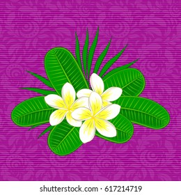 Soft watercolor plumeria flower print ~ seamless pattern on a purple background. Vector illustration.