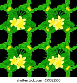 Soft watercolor plumeria flower print ~ seamless pattern on a black background. Vector illustration.