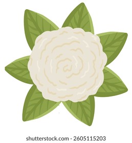 A soft white flower icon with layered petals and vibrant green leaves, bringing a fresh and peaceful feel.

