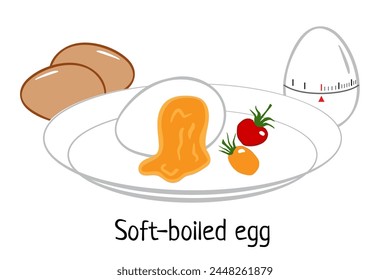 Soft-boiled egg on plate. Vector illustration boiled egg with tomato, citchen timer, eggs cartoon flat illustration isolated on white for menu restaurant, cafe, poster, flyer, cookbook, coupon design 