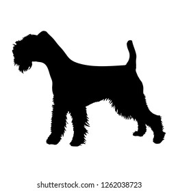 Soft-Coated Wheaten Terrier on a white background. Silhouette. Vector illustration