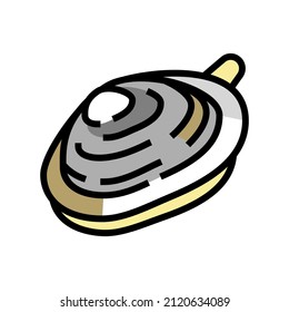 soft-shell clam color icon vector. soft-shell clam sign. isolated symbol illustration