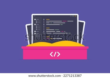 Software sandbox concept with application code screen in sandbox vector flat illustration