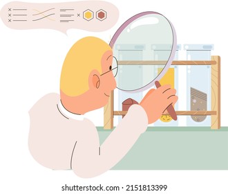 Análisis del suelo y control de metáforas o estructuras de contaminación de la tierra. Muestra de la estructura de la capa subterránea de la composición del microorganismo de nutrientes. Ensayo de laboratorio del suelo. Estado de los niveles de medición científicos