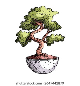soil bonzai tree hand drawn. watering fertilizer, wiring trimming, styling repotting soil bonzai tree vector sketch. isolated color illustration