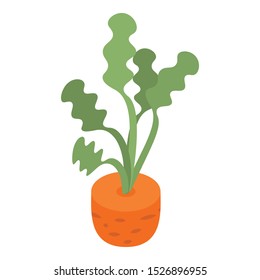 Soil carrot icon. Isometric of soil carrot vector icon for web design isolated on white background