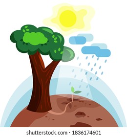 Soil day, little oak tree growing up. Vector illustration