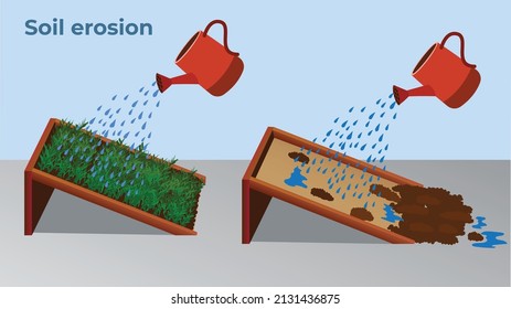Soil Erosion effect on soil by plants roots