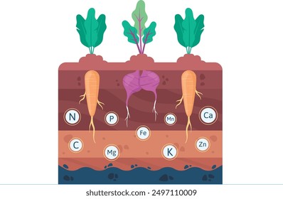 Soil Fertility, Nutrients in the Soil, Vegetables