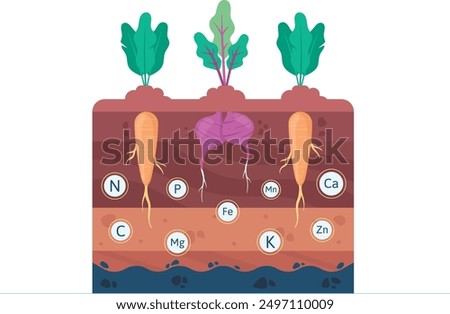 Soil Fertility, Nutrients in the Soil, Vegetables