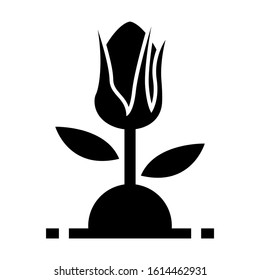 soil flower icon isolated sign symbol vector illustration - high quality black style vector icons

