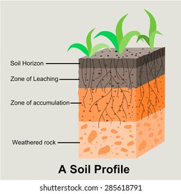 Soil Formation And Soil Horizons.