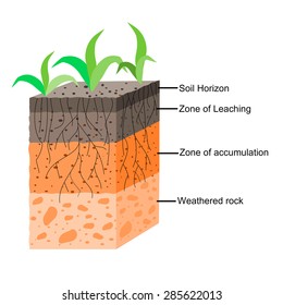 Soil Formation Soil Horizons Stock Vector (Royalty Free) 285622013 ...