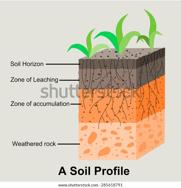 soil profile and soil horizon definition soil profile and soil horizon definition