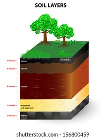 Soil Formation and Soil Horizons. Soil is a mixture of plant residue and fine mineral particles, which form layers. Vector diagram