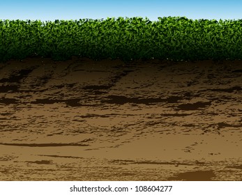 soil with grass in the context for viewing