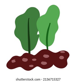 Soil with green young sprouts. Vector illustration