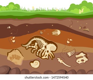 Soil ground layers with buried fossil animals, dinosaur, crustaceans and bones. Vector flat style cartoon illustration