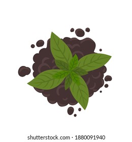 Soil for growing and plant sprout germinate seedlings. On the pile of soil ground. Top view. Vector illustration.