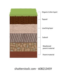 Soil Horizons Are Distinct Layers Of Soil. Vector Illustration Flat Design