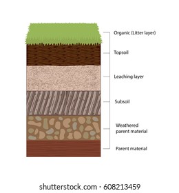 Soil horizons are distinct layers of soil. Vector illustration flat design