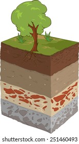 soil layer