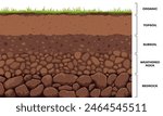 Soil layer infographic, earth geology formation. Bedrock, weathered rock, subsoil, topsoil and organic layer cross section ground and underground surface. Vector infographics chart cartoon design