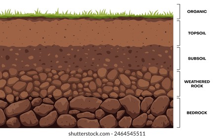 Soil layer infographic, earth geology formation. Bedrock, weathered rock, subsoil, topsoil and organic layer cross section ground and underground surface. Vector infographics chart cartoon design