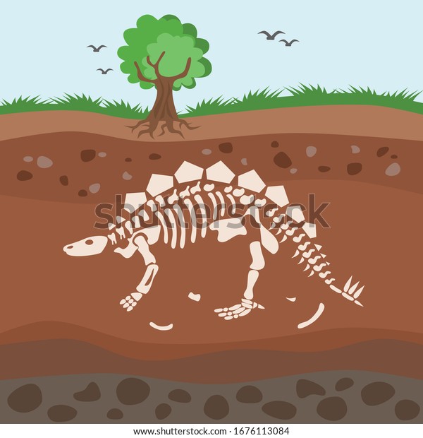 Soil Layers Bones Cartoon Dinosaur Fossil Stock Vector (Royalty Free ...