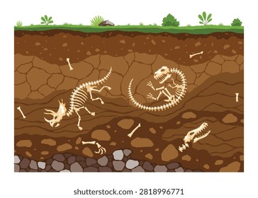 Soil layers with bones. Surface horizons with fossil reptile skeleton, upper layer of earth structure with mixture of organic matter, minerals. Buried lizard bones in dirt and underground clay layer