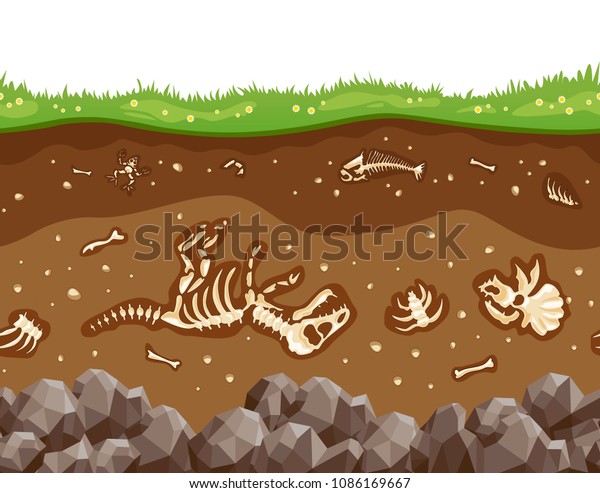 Soil layers with bones. Soil surface\
horizons with fossil reptile skeleton, upper layer of earth\
structure with mixture of organic matter, minerals. Vector flat\
style cartoon\
illustration