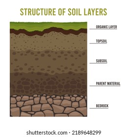 Soil Layers. Cartoon Geology Ground Structure With Sand Subsoil Rocks And Dirt, Underground Ancient Layering Diagram. Vector For Fertile Soil To Bedrock Ground. Illustration Of Ground Soil Geology