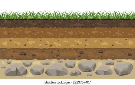 Soil layers. Cross section of the earth crust. Vector illustration of a landscape in section.