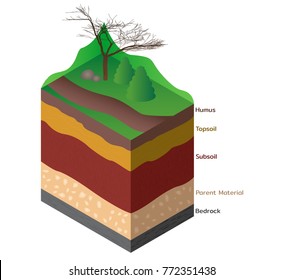Soil Layers Cutaway For Geology Science Education. Vector Illustration.
