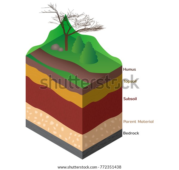 Soil Layers Cutaway Geology Science Education Stock Vector (Royalty ...