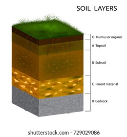 Soil Layers Diagram Cross Section Green Stock Vector (Royalty Free ...