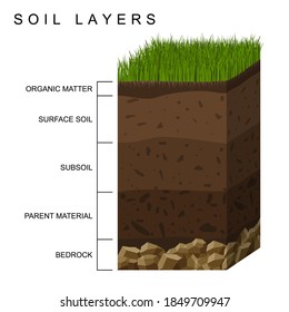 Soil layers diagram earth texture, stones. Ground with green grass on top. Mineral particles, sand, humus and stones, natural fertilizer. Geology infographics. Education for kids. Vector illustration