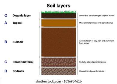 Soil layers diagram, Geological study
