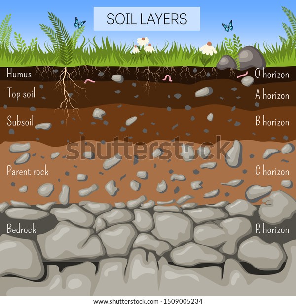 草 土の質感 石 植物の根 地下種を含む土層図 地質学のインフォグラフィックス 子供向け教育カートーンのスタイルのベクターイラスト のベクター画像素材 ロイヤリティフリー