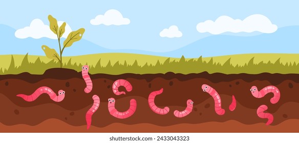 Soil layers diagram with green grass and worms underground. Cute useful earthworm characters crawling in ground to dig dirt and humus, help plants grow on farm field cartoon vector illustration