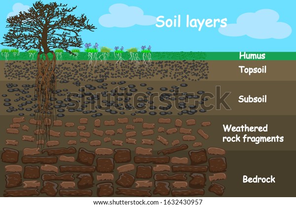 Soil Layers Diagram Layer Soil Soil Stock Vector (Royalty Free) 1632430957