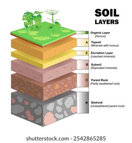 Diagrama das camadas do solo. Ilustração do vetor 3d da educação científica