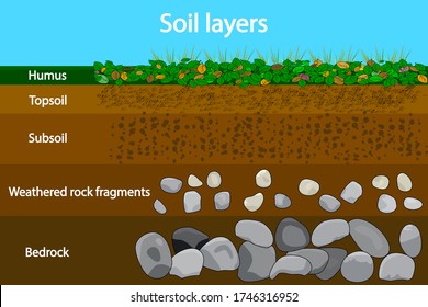 Soil layers. Diagram showing soil layers. Soil layer scheme with grass and earth texture and stones. Cross section of humus or organic and underground soil layers beneath. Geology infographics. Vector