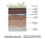 Soil layers diagram with underground water. Geology Underground infographic. Scheme with grass, roots, stones, humus, sand, stones. Land in the section. Mineral particles. Educational illustration