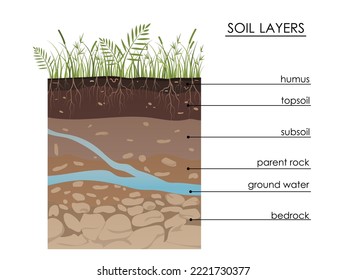 Soil layers diagram with underground water. Geology Underground infographic. Scheme with grass, roots, stones, humus, sand, stones. Land in the section. Mineral particles. Educational illustration