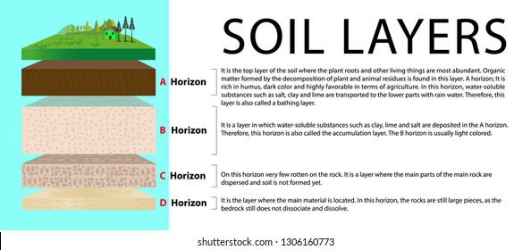 Soil Layers Diagram.soil Horizon. Layer Of Soil. Soil Layers. Education Diagram. Mineral Particles, Sand, Humus And Stones, Natural Fertilizer. Template For Banners, Page, Posters, Vector