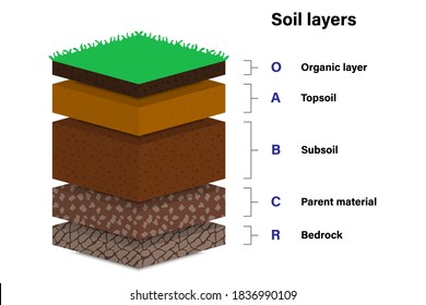 Soil layers for education, Geological study, Diagram showing different layers of soil