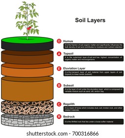 Soil Layers Infographic Diagram Showing As Slices Including Humus Topsoil Eluviation Layer Subsoil Regolith And Bedrock With Definitions For Geology Science Education